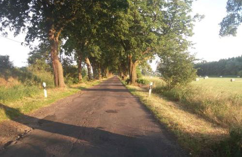 Studio in Usedom - Insel Usedom 2319 - Foto 7