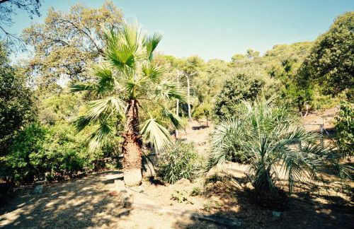 Casa Feliz - Foto 24