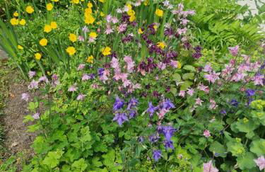 Mayfield Cottage - Foto 11