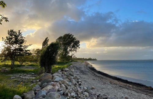 Ferienwohnung Ankerleicht - Foto 36