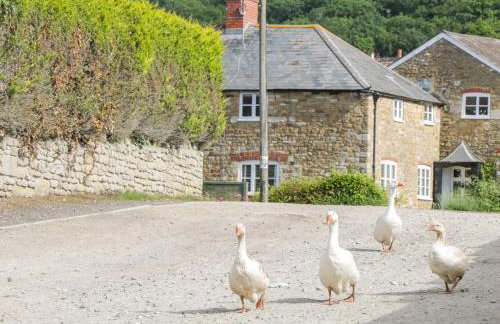 Market House - Foto 35