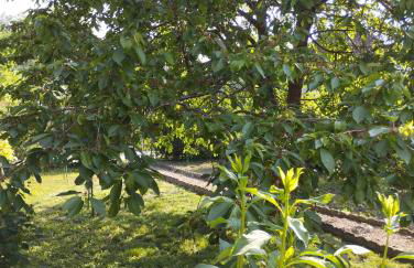 Maison Chez Marinette - Photo 10