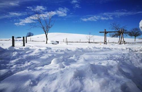 Allgäu Ferienhof Schönberger - Photo 64