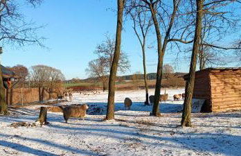 Smocze Ranczo 3 - Foto 68