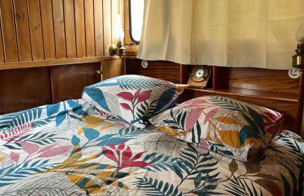 L'Amazone - bateau à quai sur le canal de bourgogne - Foto 11