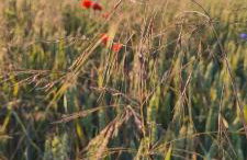 62m2 Apartament PREMIUM Łąki i Pola, ELEKTRYCZNE ROLETY, KLIMATYZACJA, GARAŻ, ŁADOWARKA AUT ELEKTRYCZNYCH - Foto 53