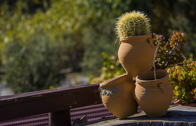 Cortijo 4 Elementos - Foto 26