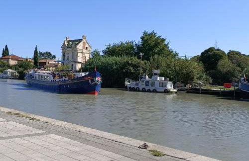 Très belle vue Canal du Midi - Foto 15