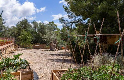 Ses Buguenvílies - Foto 26