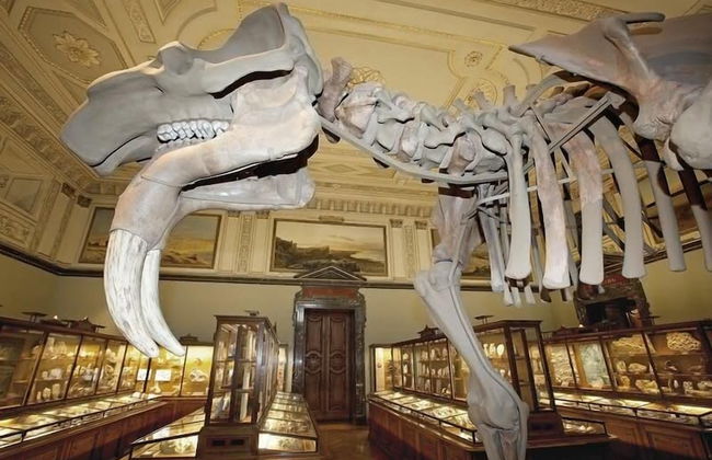 Fanaa Apartment - Foto 63