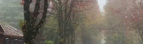 Luz da montanha ,quartos para locação em meu apartamento! - Foto 1