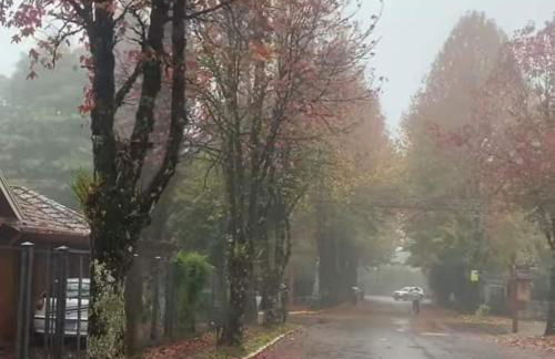 Luz da montanha ,quartos para locação em meu apartamento! - Foto 1