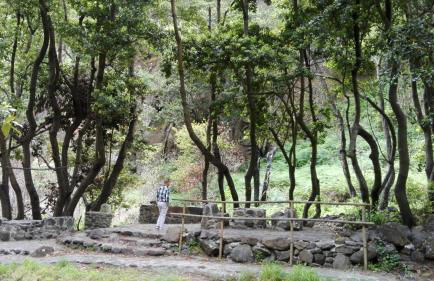 Apartamento Villa - Foto 40