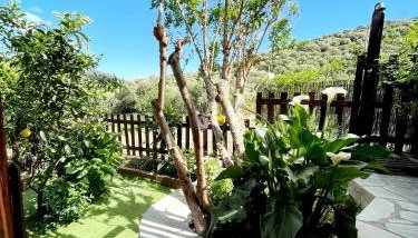 Platipodi stone house - Foto 3