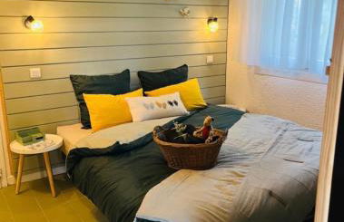 La Suite Unique - Le jardin sur les Pyrénées- vue panoramique montagne -jardin clôturé privé de 100m2-Parking-Linge de lit et serviettes compris- - Foto 35