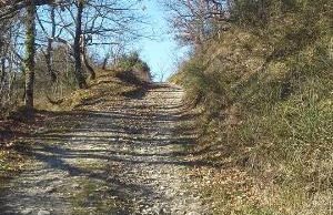 Agriturismo al Monte - Foto 46