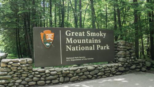 Little Bird Cabin by American Patriot Getaways - Foto 2