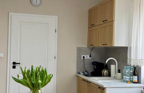 Noclegi, pokoje, kwatery "Nad Bzurą" - Foto 46