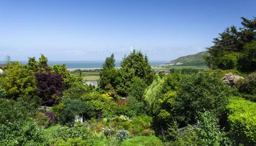 Jasmine Cottage Porlock - Foto 5, Other
