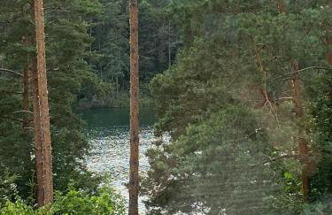 Polana Gawrycha, domki nad jeziorem z widokiem - Foto 30