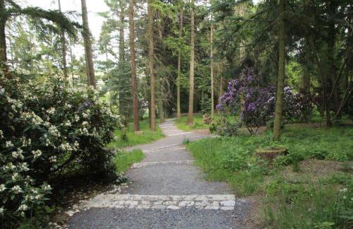 Apartment am Hutberg - Foto 11