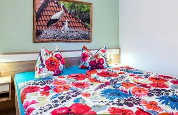 Apartment-Pension Spreewald Marie - Foto 11