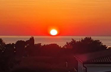 Apartments Oleander Lovrečica-residence with pool - Photo 17