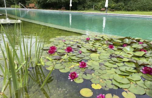 Holiday Home Haus Weitblick by Interhome - Foto 48