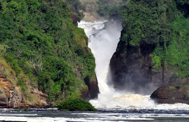 Victoria Lake View Guest House & Safaris - Photo 35