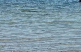 Blue A'Mare - Foto 41