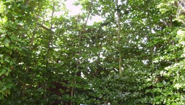 Ferienhaus-Weitblick - Foto 2