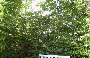 Ferienhaus-Weitblick - Foto 2