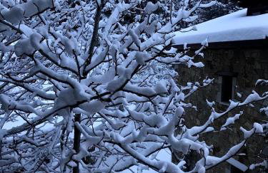 Pinecone Lodge, Eptalofos Wellness Garden Chalet - Foto 66