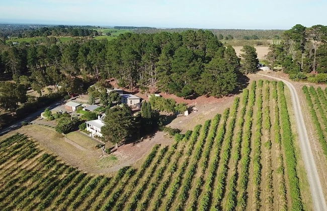 Karawatha Cottages B&B - Foto 46