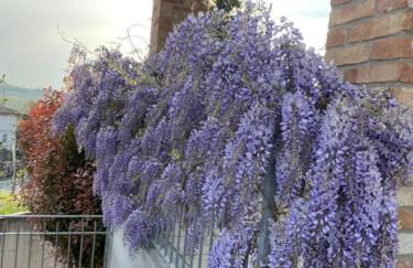 Casa di Ercolino - Foto 69