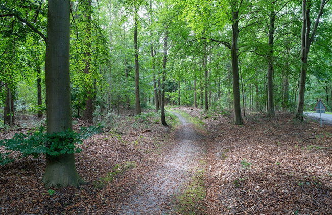 Holiday Home in Reest Valley Near Forest & Pond - Foto 47