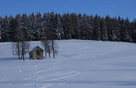 Rennsteig-Pension Trautwein - Foto 4