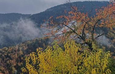 Gouvas stone house - Photo 17