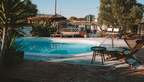 João Jungle - Foto 2