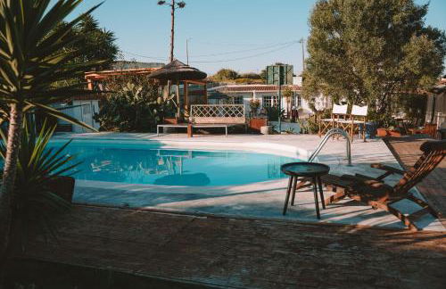 João Jungle - Foto 2