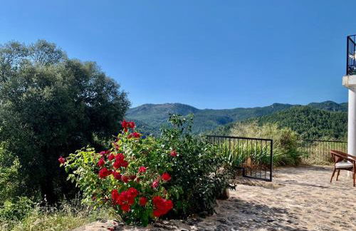 Casa en valle del Tus - Foto 12