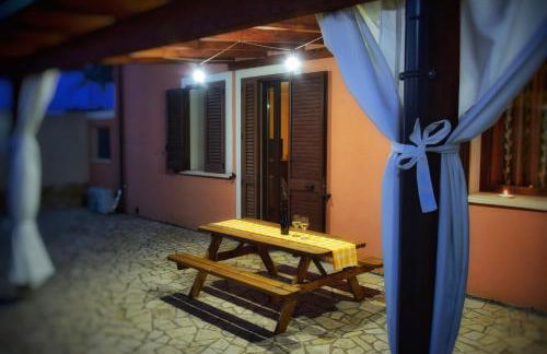 LaChorisia - Foto 37