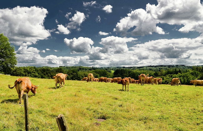 Luxury Villa With Heated Pool and Tennis Court - Foto 35