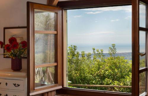 Villa Elisa - Foto 27