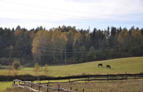 Domki Smokowo - Foto 6