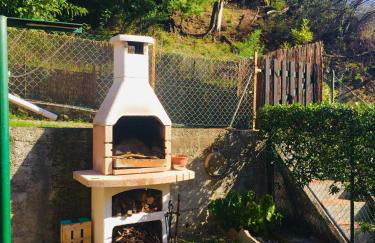 Green House - Foto 16