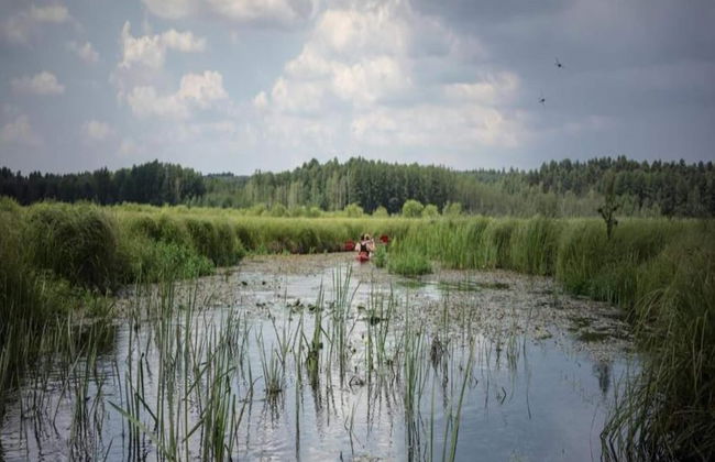 Peaceful Retreat by the Lake - Foto 22