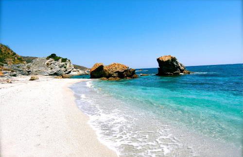 Kyra's Paradise - Foto 14