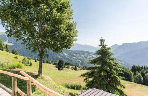 Baita Località Cap - Photo 7