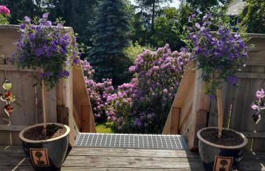 Tante Hanna - Foto 32